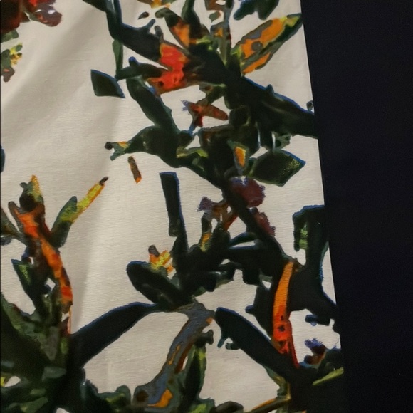 Beautiful never been worn shorts from Club Monaco - Picture 2 of 4